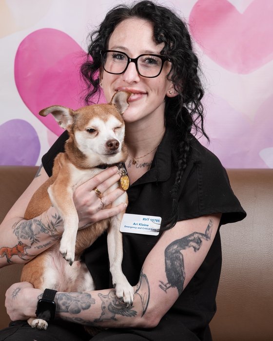 Ari Kleine in scrubs, holding a chihuahua. Her hospital badge reads RVT 15785.